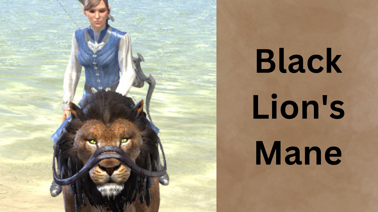 Black Lion's Mane